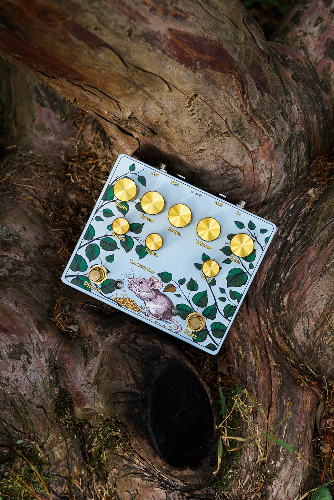 The Little Guy | Fuzz-Phaser