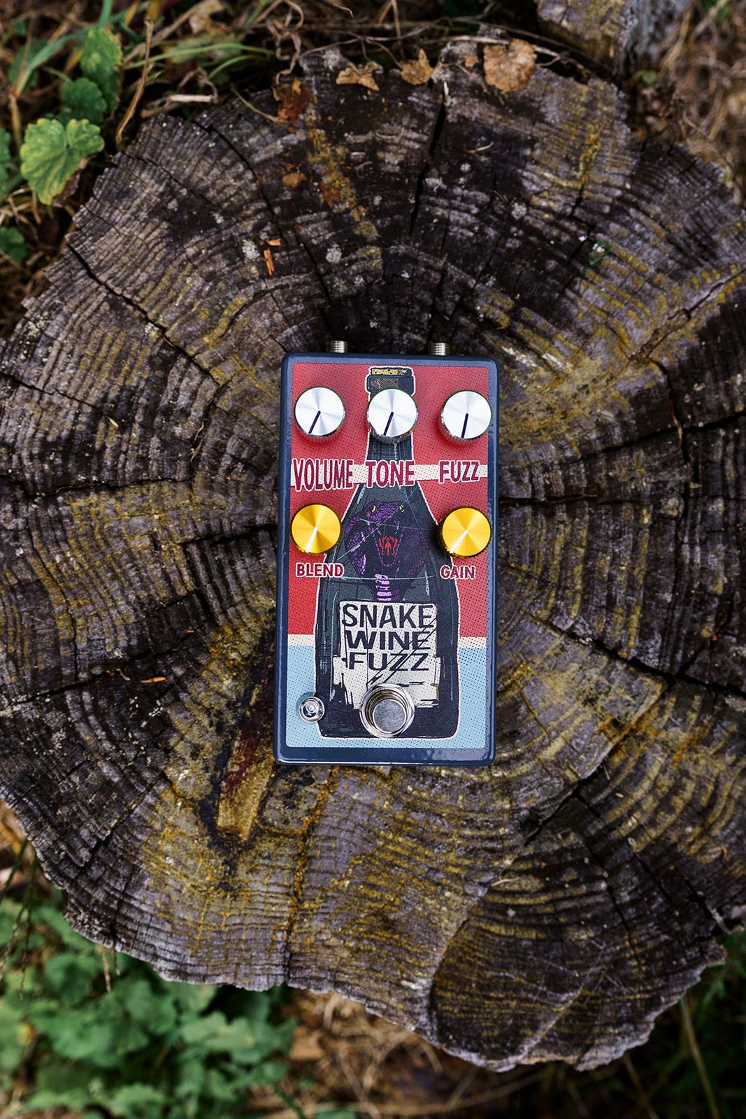 fuzz pedal with clean blend Snake Wine This is part of vinyl storage Close up of a Größe:M/8