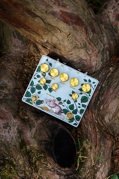 The Little Guy | Fuzz-Phaser