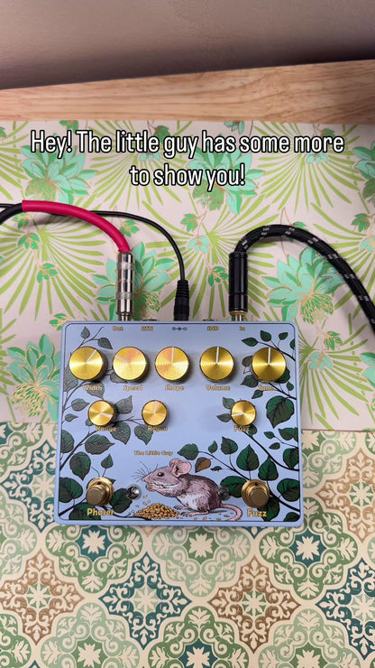 The Little Guy | Fuzz-Phaser