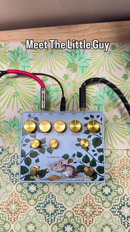 The Little Guy | Fuzz-Phaser