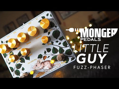 The Little Guy | Fuzz-Phaser
