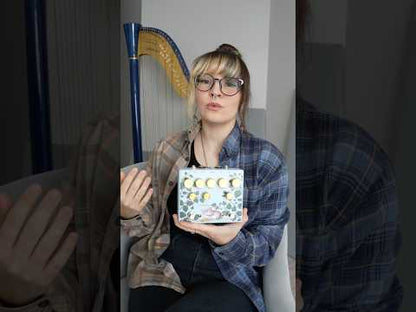 The Little Guy | Fuzz-Phaser