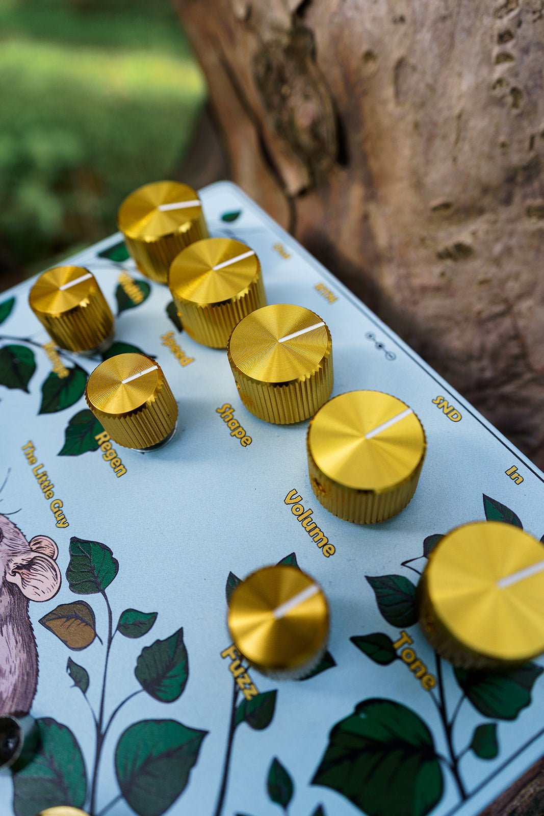 The Little Guy close up photo of knobs and labels