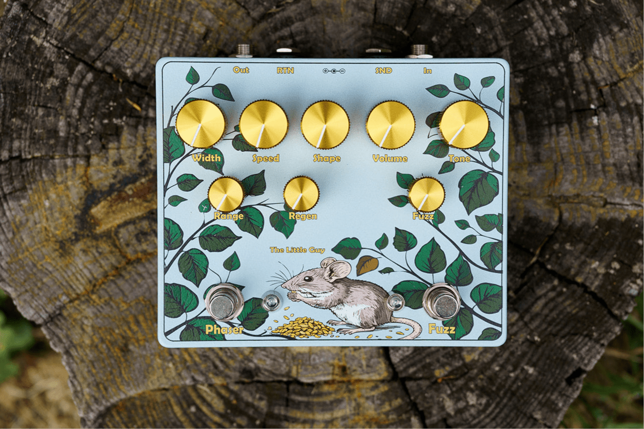 The Little Guy pictured from above on tree stump