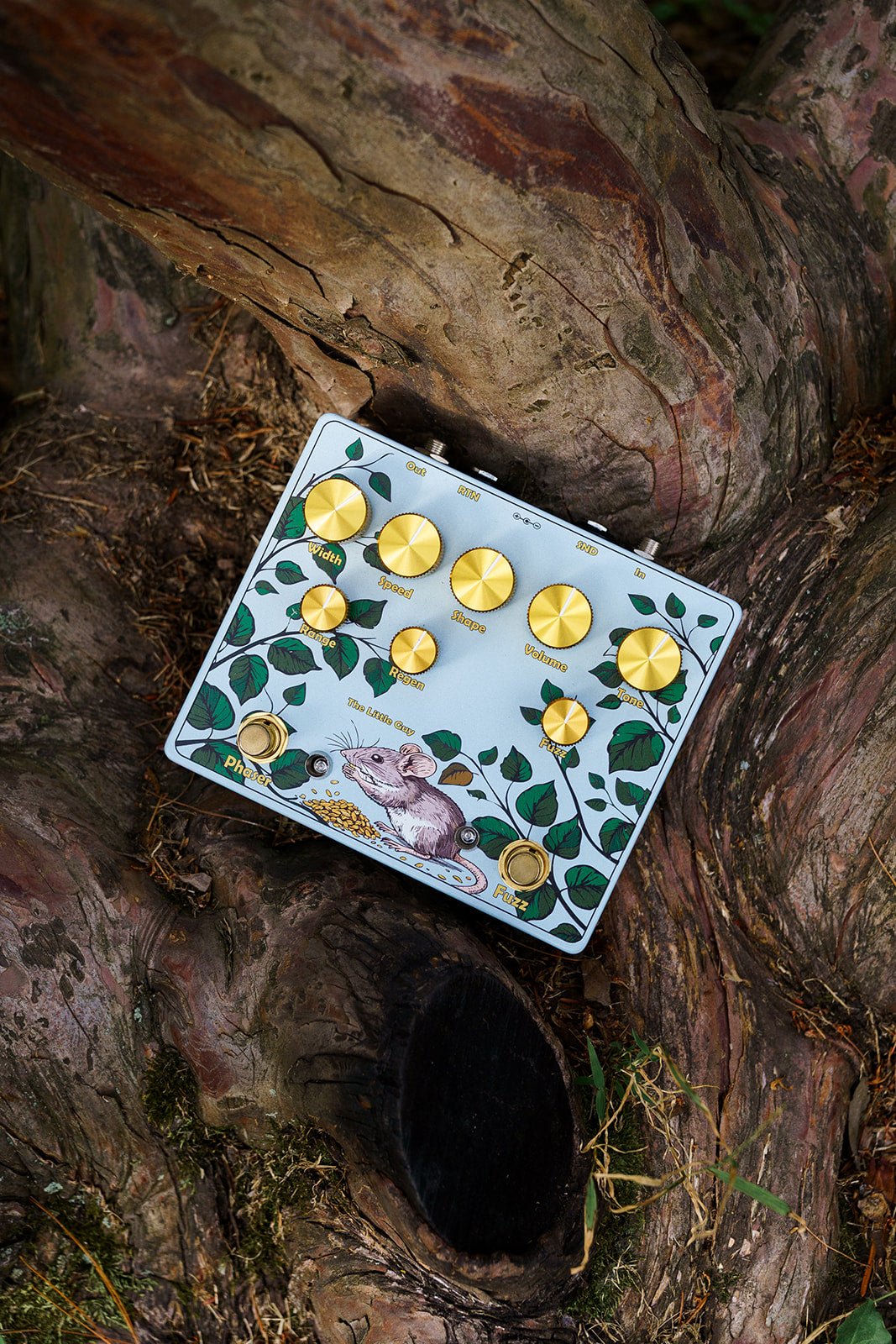 The Little Guy photo from above inside tree cove