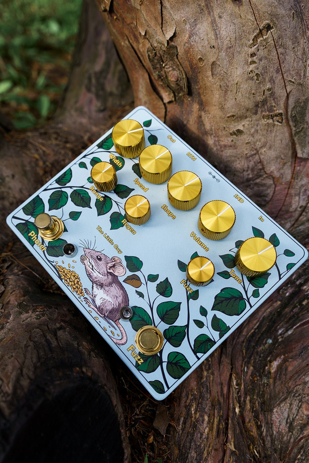 The Little Guy angled photo inside nook of tree